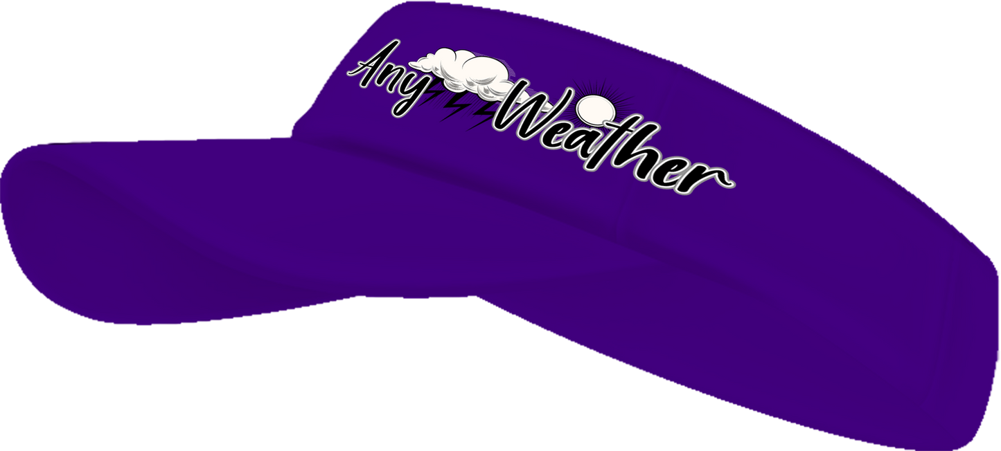 SIGNATURE ANYWEATHER VISORS