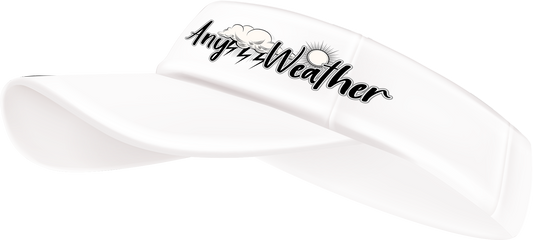 SIGNATURE ANY WEATHER VISORS