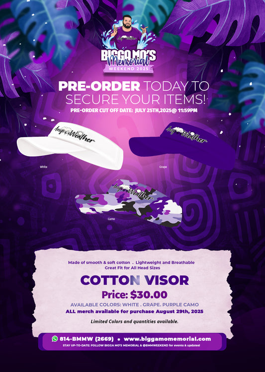 SIGNATURE ANYWEATHER VISORS